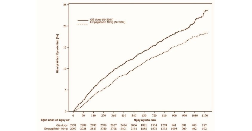 Hình 12. Thời gian đến khi xảy ra lần đầu một trong hai biến cố được thẩm định là tử vong do bệnh tim mạch hoặc nhập viện do suy tim