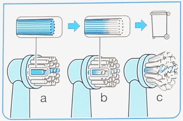 Hướng dẫn thay bàn chải Oral B