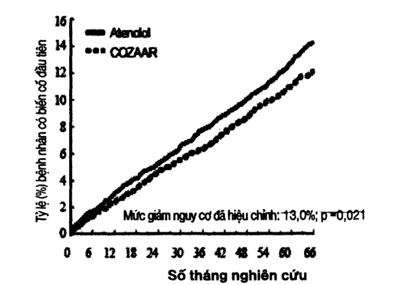 Biểu đồ số tháng nghiên cứu
