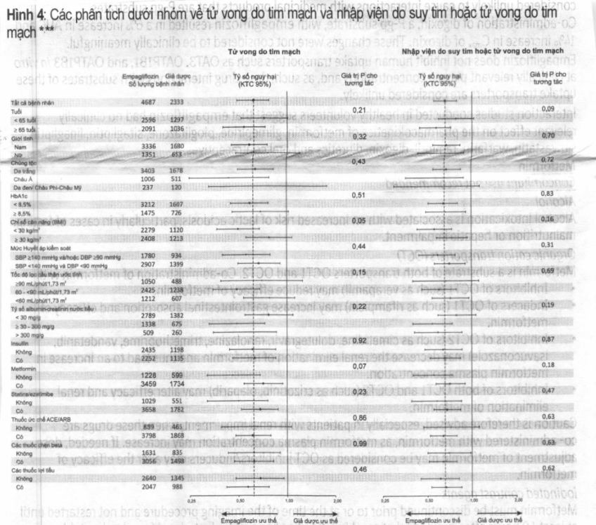 Hình 4: Các phân tích dưới nhóm về tử vong do tim mạch và nhập viện do suy tim hoặc tử vong do tim mạch ***