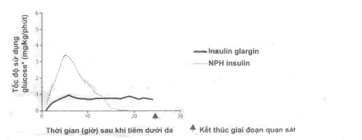 Diễn biến hoạt tính trên bệnh nhân đái tháo đường týp 1