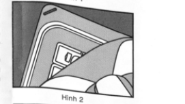 hình 2