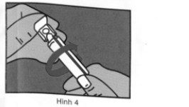 hình 4