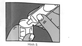 hình 5