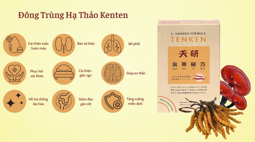 Đông trùng hạ thảo Kenten 