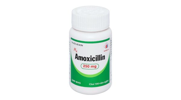 Viên ngậm Amoxicillin Domesco 250mg trị nhiễm trùng do vi khuẩn nhạy cảm lọ 100 viên