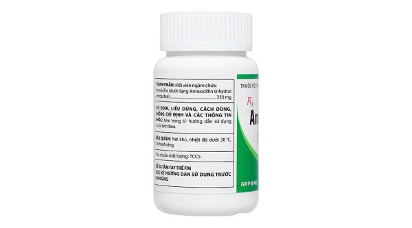 Viên ngậm Amoxicillin Domesco 250mg trị nhiễm trùng do vi khuẩn nhạy cảm lọ 100 viên