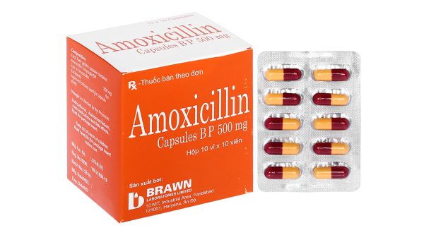 Amoxicillin Capsules BP 500mg trị nhiễm khuẩn (10 vỉ x 10 viên)