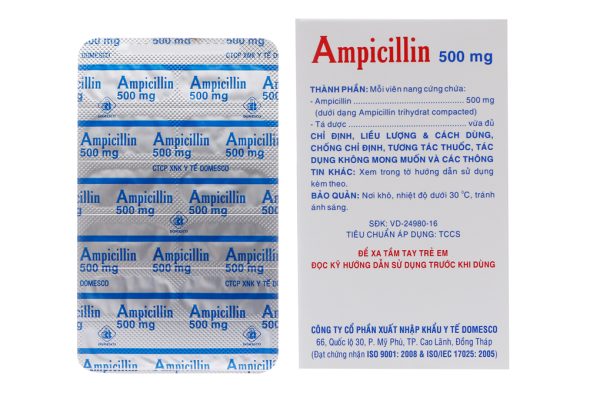 Ampicillin Domesco 500mg trị nhiễm khuẩn (10 vỉ x 10 viên)