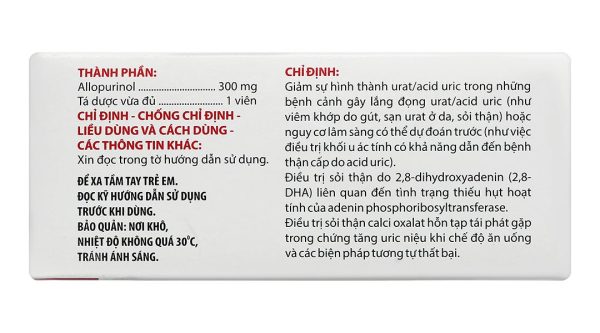 Angut 300 giảm sự hình thành urat/acid uric, trị sỏi thận (10 vỉ x 10 viên)