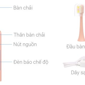 Bàn chải điện Halio Sonic SmartClean - Coral