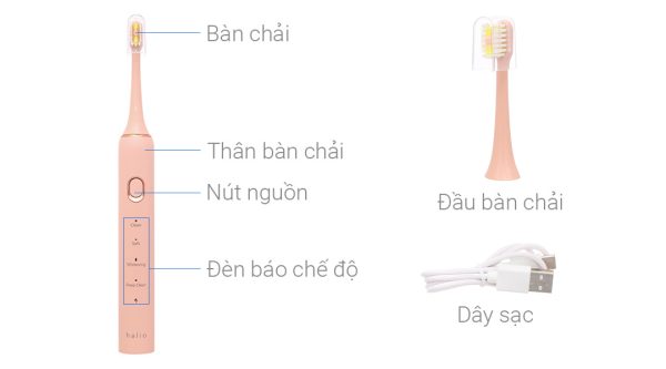 Bàn chải điện Halio Sonic SmartClean - Coral