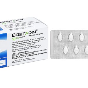 Bostadin 10mg trị viêm mũi dị ứng, mày đay (10 vỉ x 10 viên)