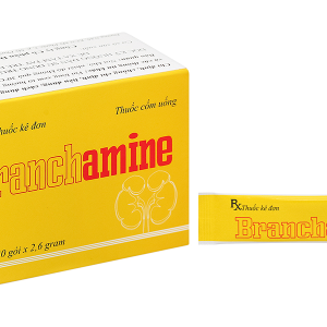 Thuốc cốm Branchamine cung cấp các acid amin trong suy thận mạn tính (30 gói x 2,6g)