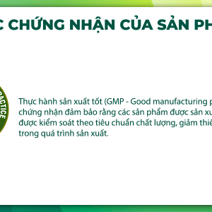 Condition Ginkgo hỗ trợ tuần hoàn não, lưu thông máu chai 60 viên