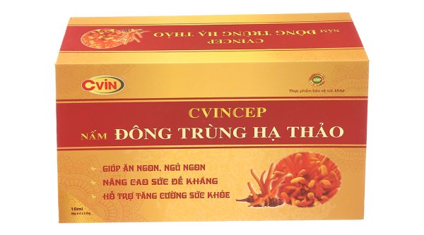 Dung dịch Cvincep Nấm Đông Trùng Hạ Thảo bồi bổ cơ thể hộp 20 ống x 10ml
