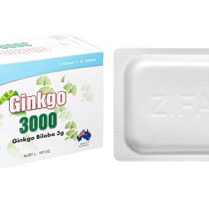 Ginkgo 3000 tuần hoàn máu não, giảm biến chứng đột quỵ (6 vỉ x 15 viên)
