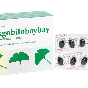 Ginkgobilobaybay tăng cường tuần hoàn máu não hộp 30 viên