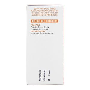 Bột sủi Hapacol 250 giảm đau, hạ sốt (24 gói x 1.5g)