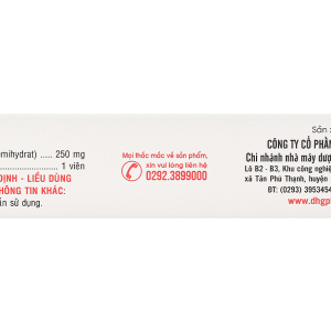 LevoDHG 250 trị nhiễm khuẩn (3 vỉ x 10 viên)