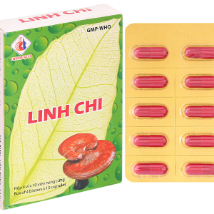 Linh Chi Domesco tăng cường chức năng gan, điều hòa huyết áp (4 vỉ x 10 viên)