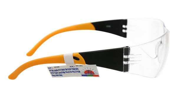 Kính bảo hộ Spider S164-C1