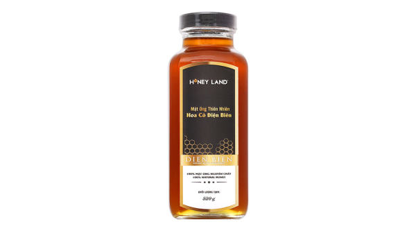 Mật ong thiên nhiên Hoa Cỏ Điện Biên Honey Land chai 520g