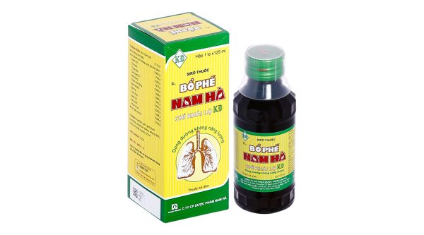 Siro Bổ Phế Nam Hà Chỉ Khái Lộ KĐ trị ho, viêm phế quản chai 125ml
