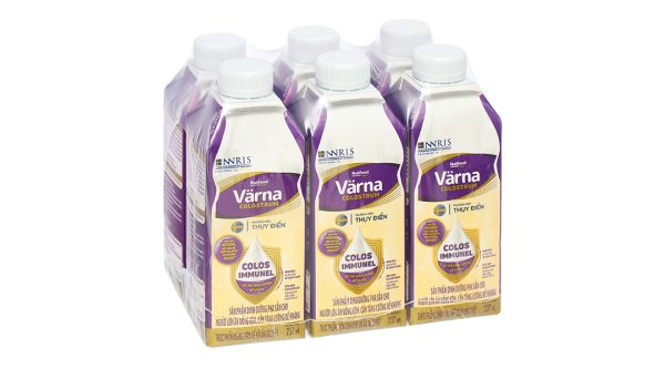 Sữa bột pha sẵn Varna Colostrum bổ sung dinh dưỡng, tăng đề kháng (6 chai x 237ml)