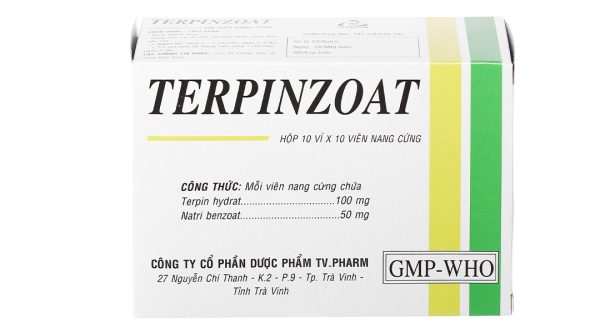 Terpinzoat trị ho, loãng đàm trong bệnh lý hô hấp (10 vỉ x 10 viên)