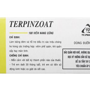 Terpinzoat trị ho, loãng đàm trong bệnh lý hô hấp (10 vỉ x 10 viên)