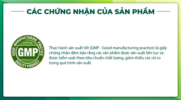 Ginkgo Natto Coenzym Q10 hỗ trợ tăng cường tuần hoàn máu não hộp 100 viên