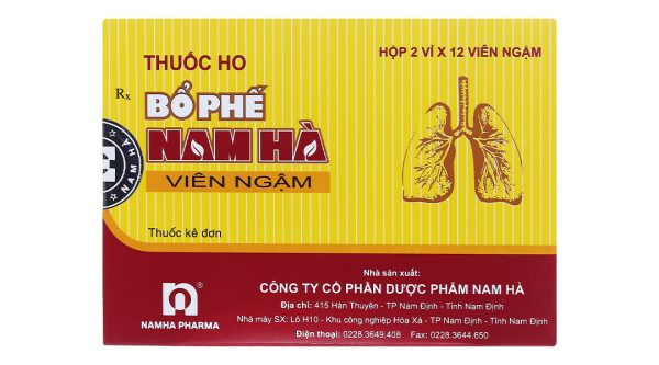 Viên ngậm Bổ phế Nam Hà trị ho, tiêu đờm (2 vỉ x 12 viên)