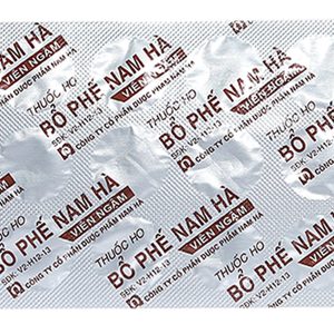 Viên ngậm Bổ phế Nam Hà trị ho, tiêu đờm (2 vỉ x 12 viên)